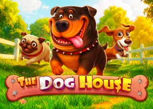 me356 ล่าสุด The Dog House ทดลองเล่นฟรี